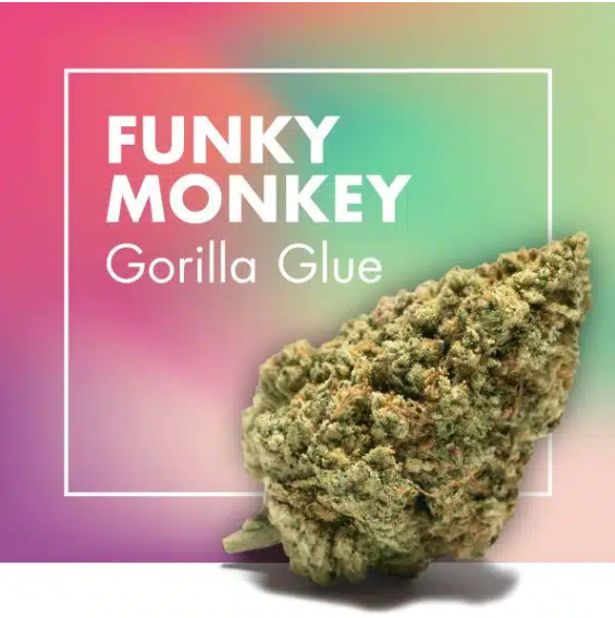 Flores de CBD FUNKY MONKEY (Gorilla Glue)