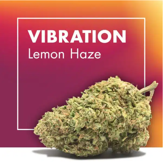 Flores de CBD VIBRATION (Lemon Haze)