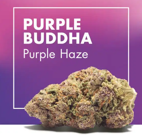 Purple Buddha