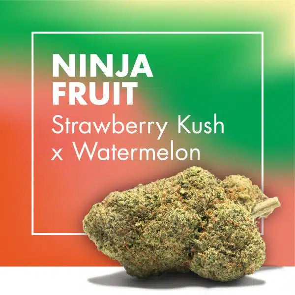 Flowers CBD NINJA FRUIT (Strawberry Kush x Watermelon)