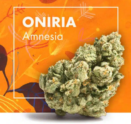 Adobe Express - file (81).jpg