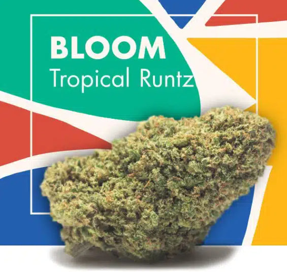 Adobe Express - file (82).jpg