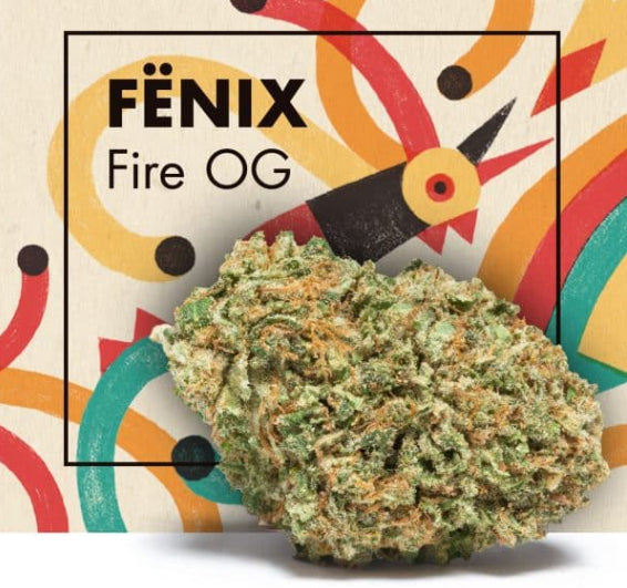 Adobe Express - file (83).jpg