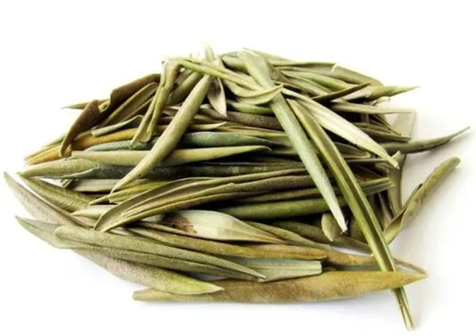 Adobe Express - file (85).jpg