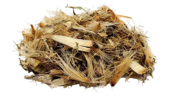 Adobe Express - file (89).jpg