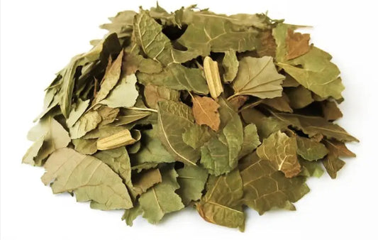 Adobe Express - file (93).jpg