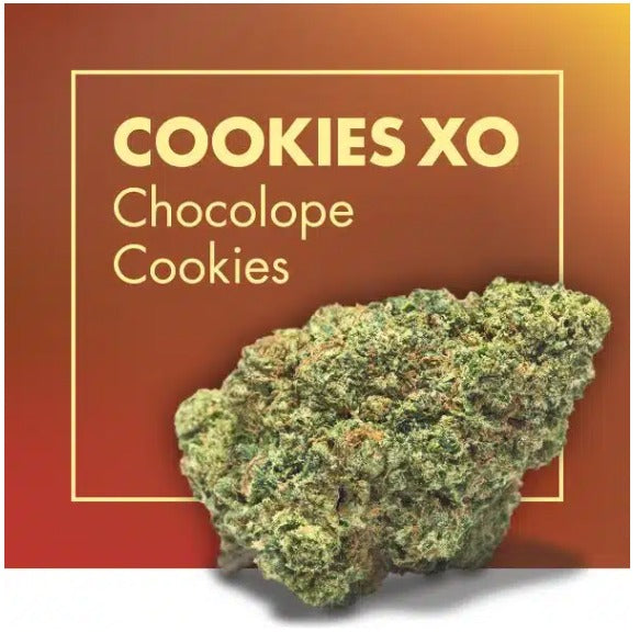 Cookies xo.jpg