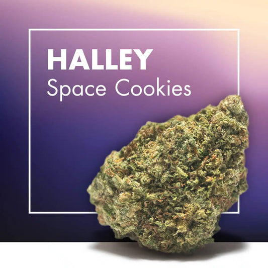 Flowers CBD HALLEY (Space Cookies CBD)