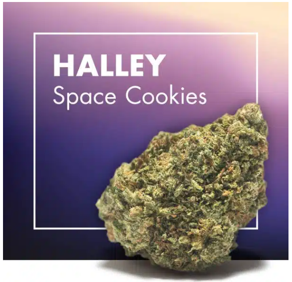 HALLEY  (Space Cookies)