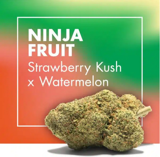 Flores de CBD NINJA FRUIT (Strawberry Kush x Melancia)