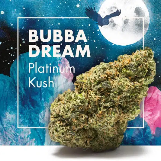 Flowers CBD BUBBA DREAM (Platinum Kush) | CBD INDOOR