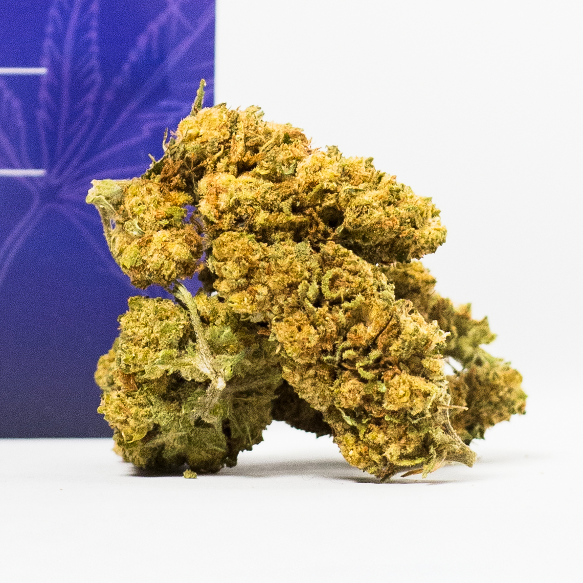 HALLEY  (Space Cookies)