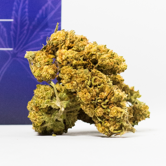 HALLEY  (Space Cookies)