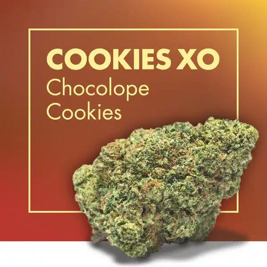 Flowers CBD COOKIES XO (Chocolope Cookies)