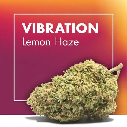 Flowers CBD VIBRATION (Lemon Haze)